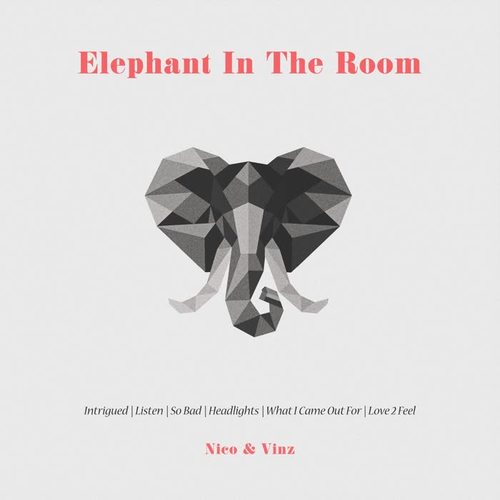 Elephant in the Room