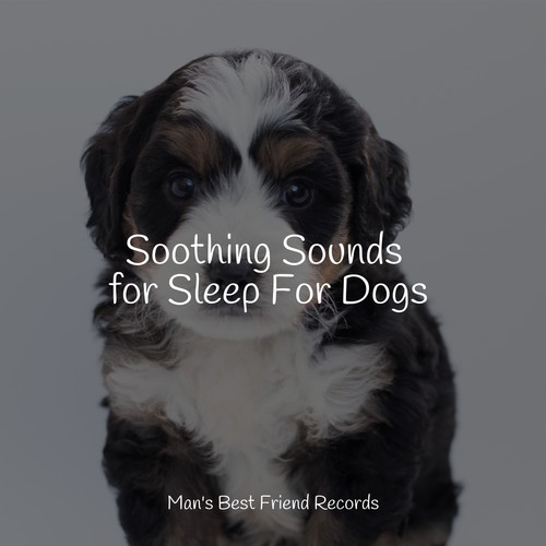 Soothing Sounds for Sleep For Dogs