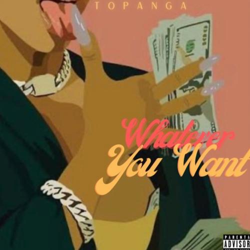 Whatever You Want (Explicit)