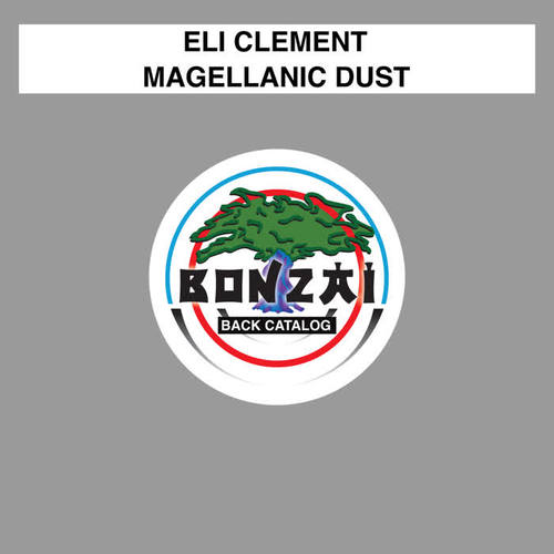 Magellanic Dust