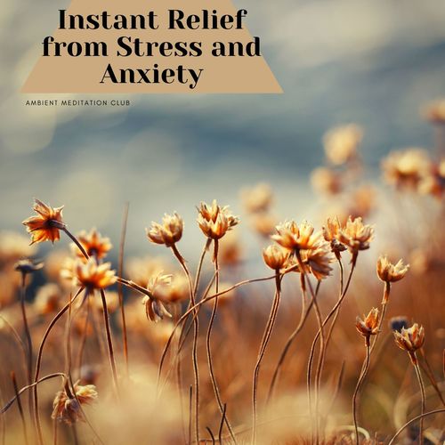 Instant Relief from Stress and Anxiety