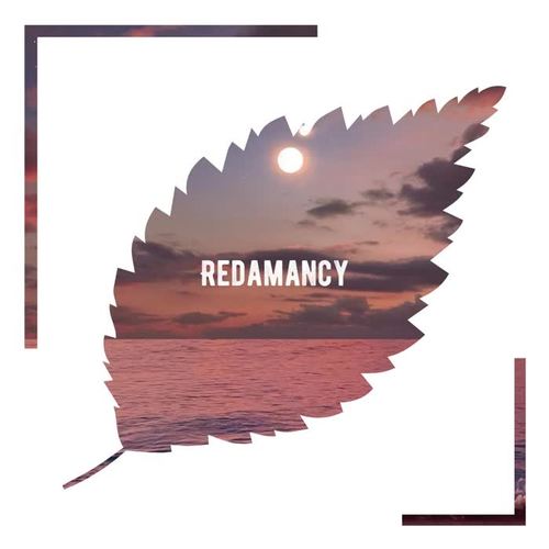 Redamancy