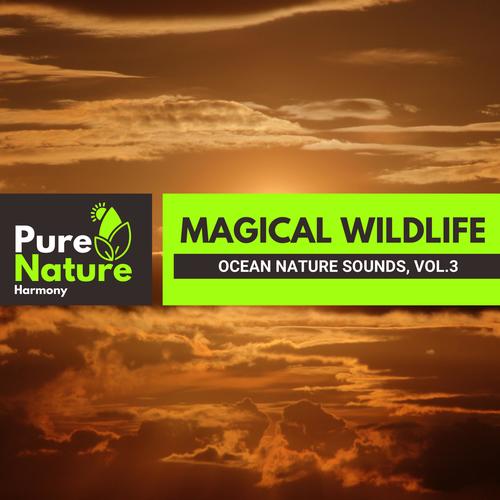 Magical Wildlife - Ocean Nature Sounds, Vol.3