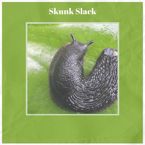 Skunk Slack