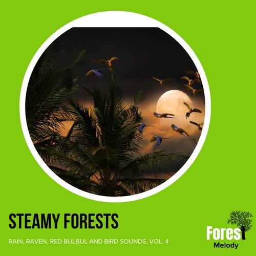 Steamy Forests - Rain, Raven, Red Bulbul and Bird Sounds, Vol. 4