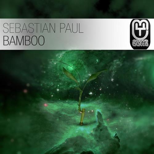 Bamboo