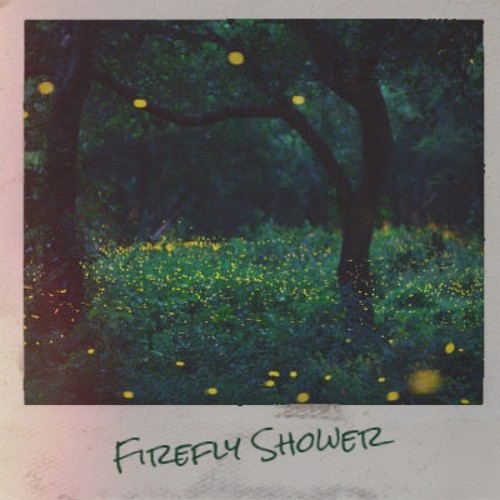 Firefly Shower