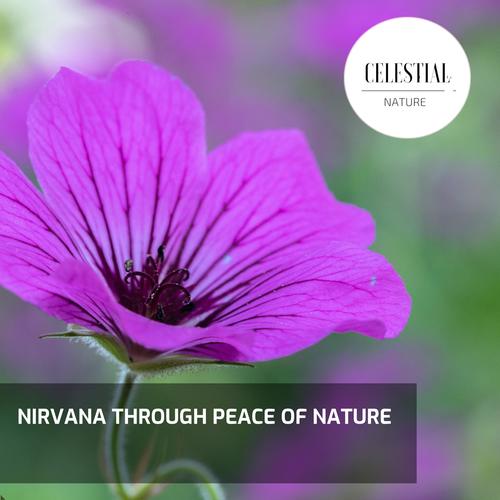 Nirvana Through Peace of Nature