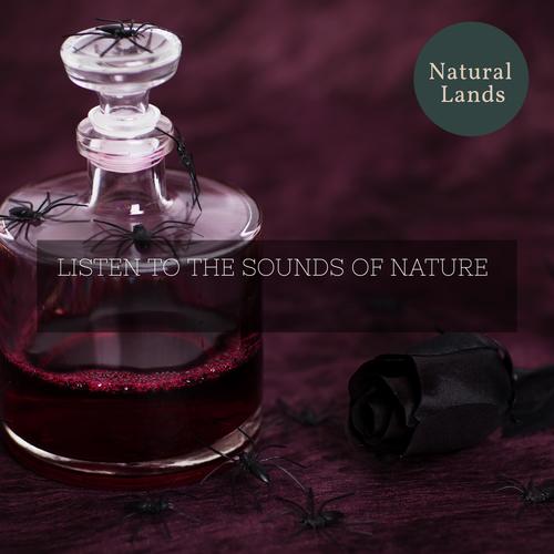 Listen To The Sounds of Nature