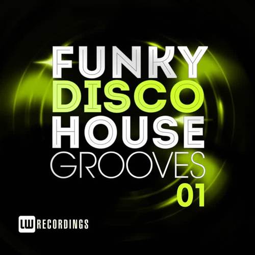 Funky Disco House Grooves, Vol. 01