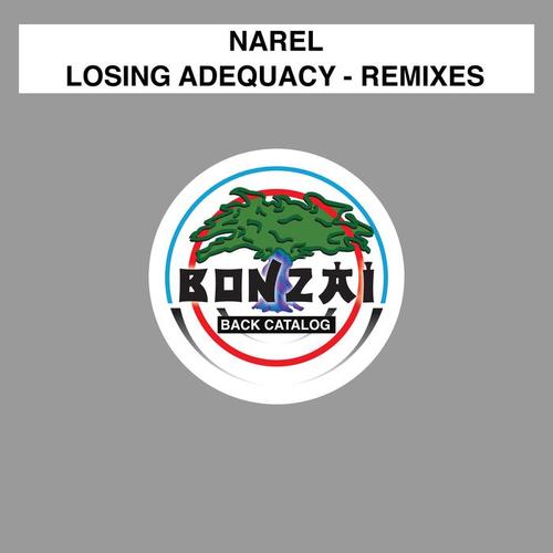 Losing Adequacy - Remixes