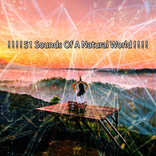 ！ ！ ！ ！ 51個自然世界的聲音！ ！ ！ ！