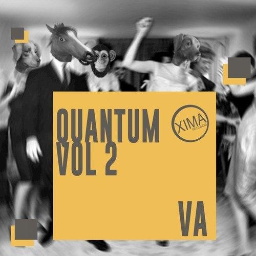 Quantum, Vol. 2