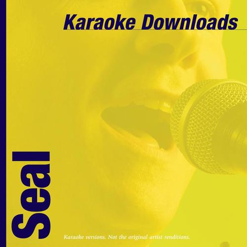 Karaoke Downloads – Seal