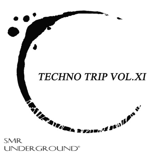 Techno Trip Vol.XI