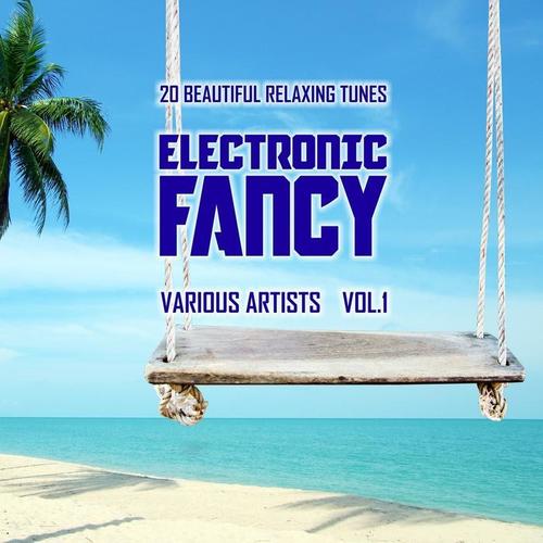 Electronic Fancy (20 Beautiful Relaxing Tunes) , Vol. 1