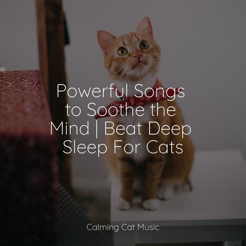 Powerful Songs to Soothe the Mind | Beat Deep Sleep For Cats