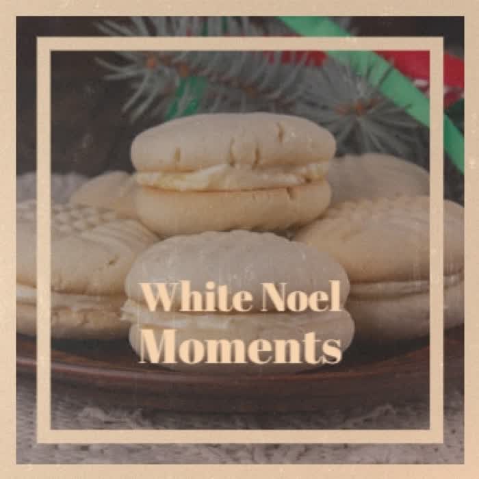 White Noel Moments