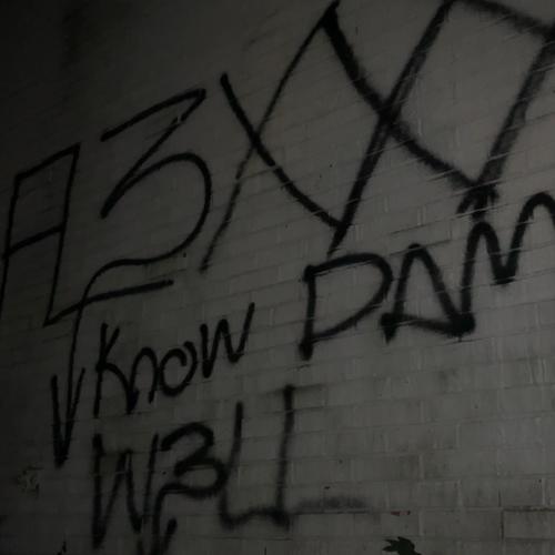 FL3XXX KNOW DAMMM W3LL (Explicit)