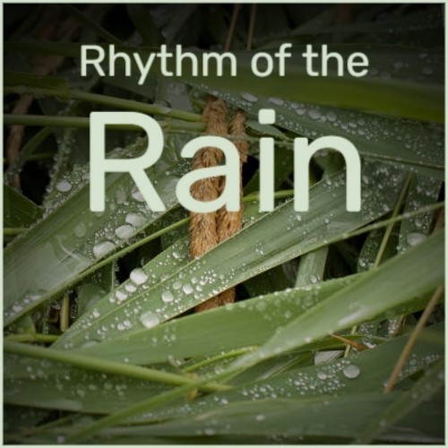 Rhythm of the Rain