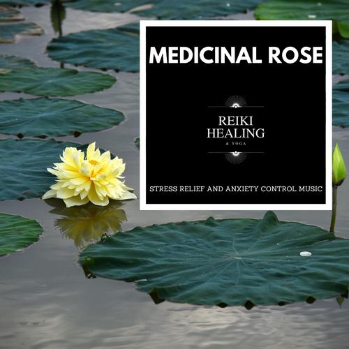 Medicinal Rose - Stress Relief And Anxiety Control Music