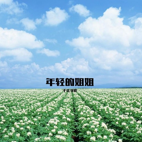 年轻的姐姐