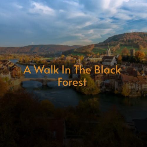 A Walk in the Black Forest