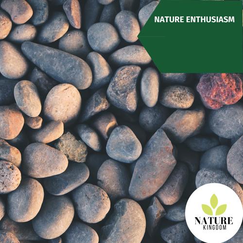 Nature Enthusiasm