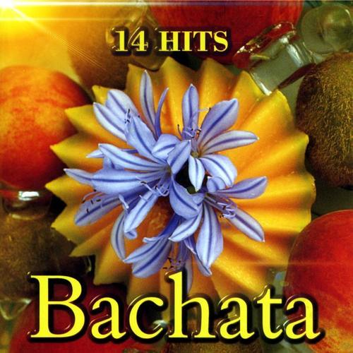 Bachata