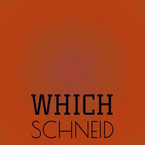 Which Schneid