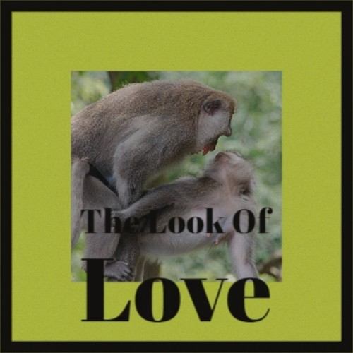 The Look Of Love