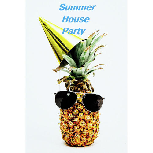 Summer House Party (Explicit)