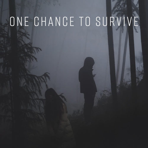 One Chance to Survive