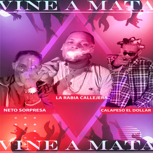 Vine a Mata