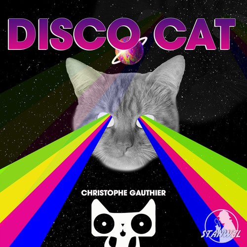 Disco Cat