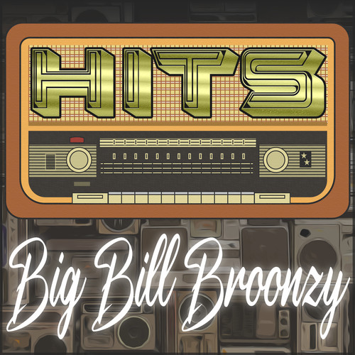 Hits of Big Bill Broonzy