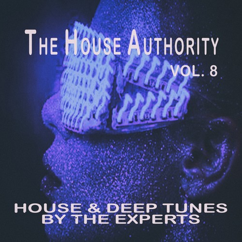 The House Authority, Vol. 8