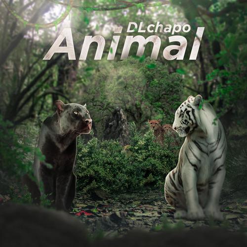 Animal (Explicit)
