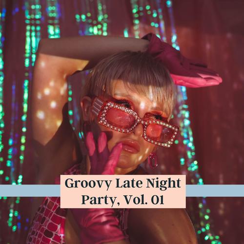 Groovy Late Night Party, Vol. 01