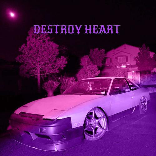 DESTROY HEART