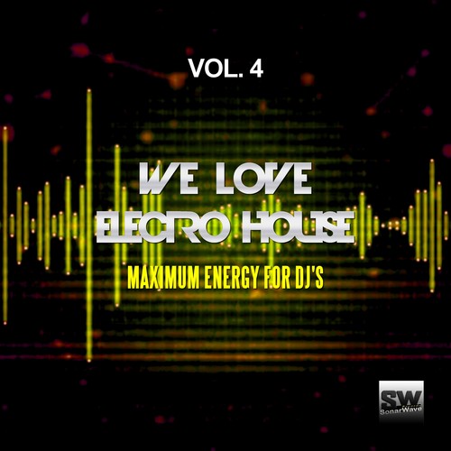 We Love Electro House, Vol. 4 (Maximum Energy For DJ's)