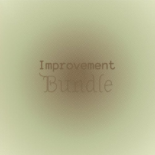 Improvement Bundle