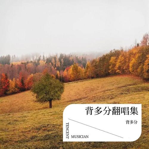 调查中 (DJ版) - 糯米Nomi  词 Lyric：韩颜儿  曲 Composer：金炫道/王鹏/DJR7  放弃