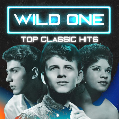 Wild One (Top Classic Hits)