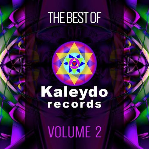 The Best Of Kaleydo Records Vol. 2