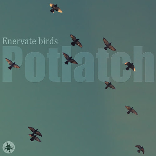 Enervate Birds