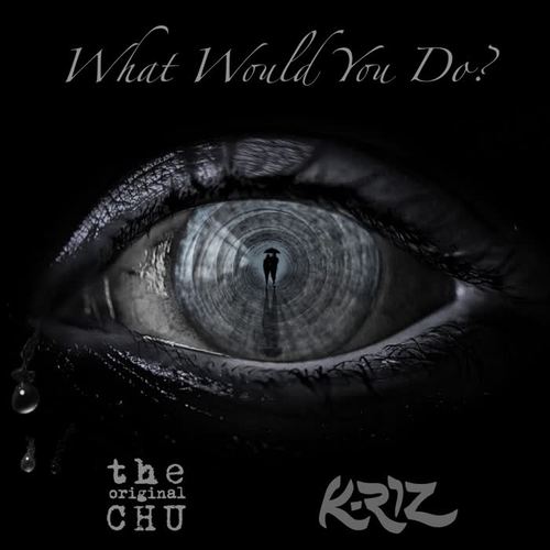 What Would You Do (feat. K-Riz)