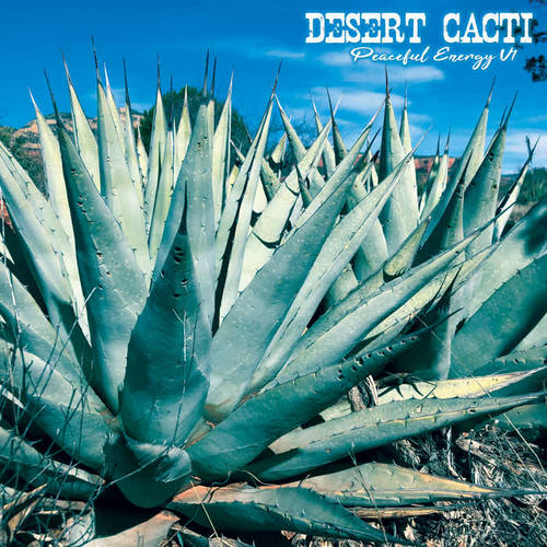 Desert Cacti Peaceful Energy V1