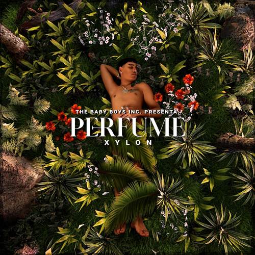 Perfume (Explicit)