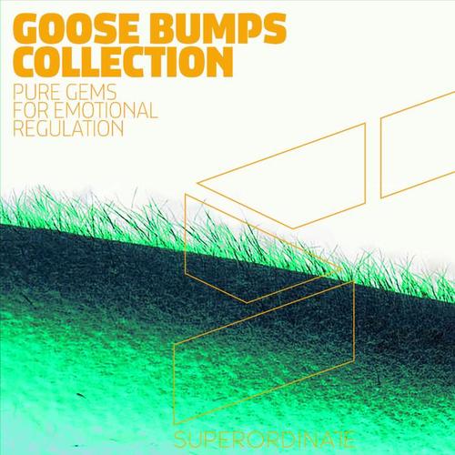 Goose Bumps Collection